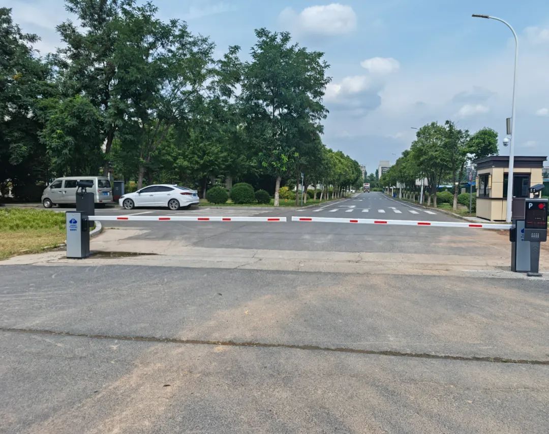 1729823969897341.jpg 640.jpg